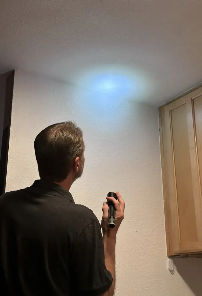 ceiling home watch services check ceiling for waterspots.